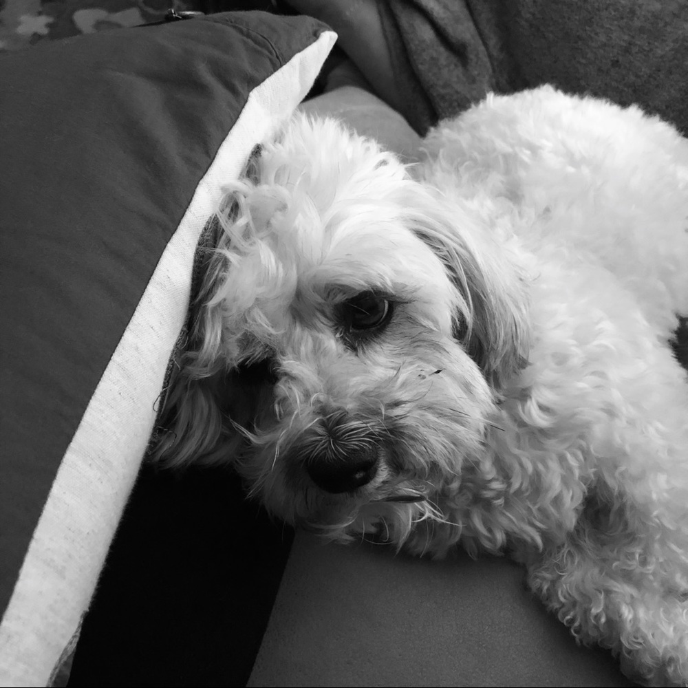 Meet your Posher, Kendall